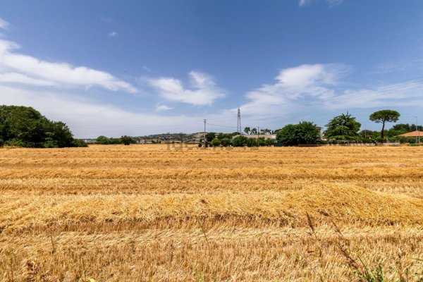 terreno agricolo in vendita a Civitanova Marche in zona Santa Maria Apparente