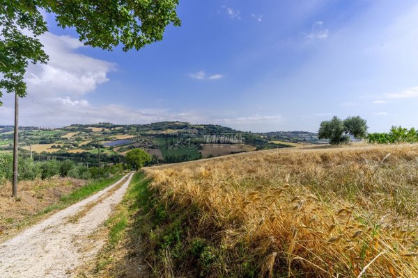 terreno agricolo in vendita a Civitanova Marche