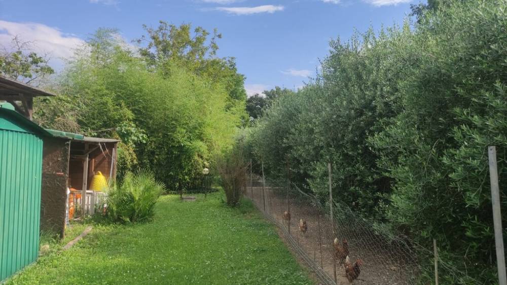 casa indipendente in vendita a Civitanova Marche