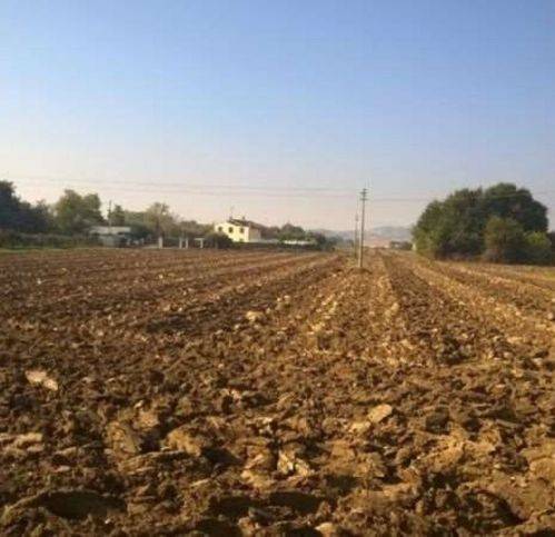 terreno agricolo in vendita a Civitanova Marche in zona Santa Maria Apparente