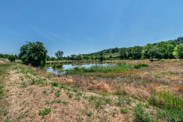 terreno agricolo in vendita a Civitanova Marche