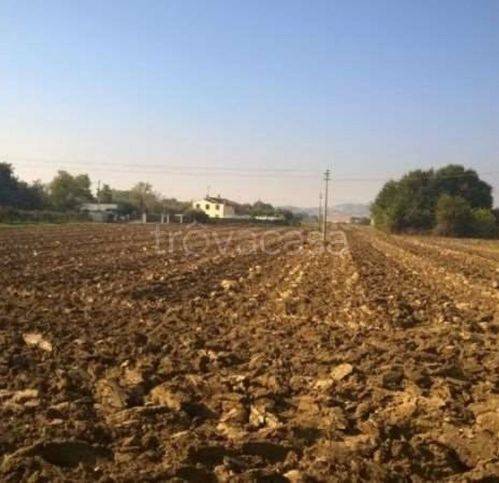 terreno agricolo in vendita a Civitanova Marche in zona Santa Maria Apparente