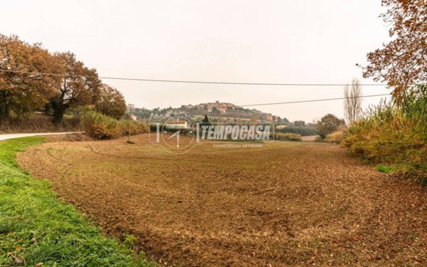 terreno agricolo in vendita a Civitanova Marche
