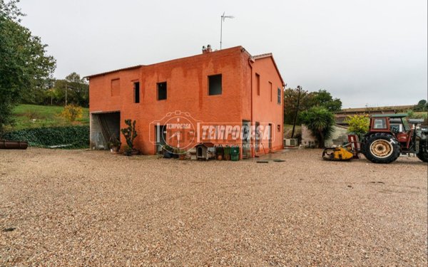 esavano in vendita a Civitanova Marche