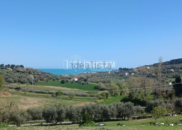 esavano in vendita a Civitanova Marche