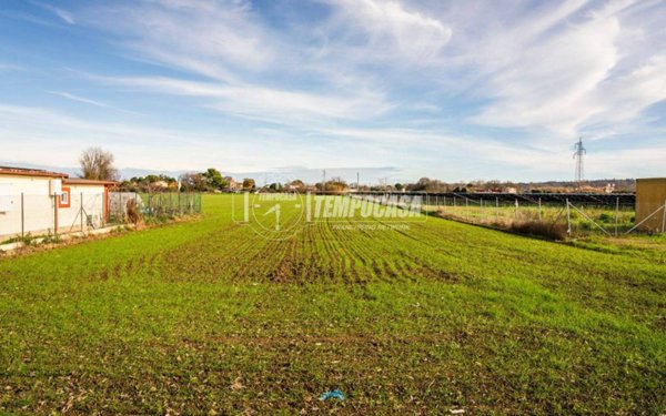 terreno agricolo in vendita a Civitanova Marche in zona Santa Maria Apparente