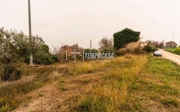 terreno agricolo in vendita a Civitanova Marche