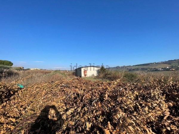 terreno agricolo in vendita a Civitanova Marche
