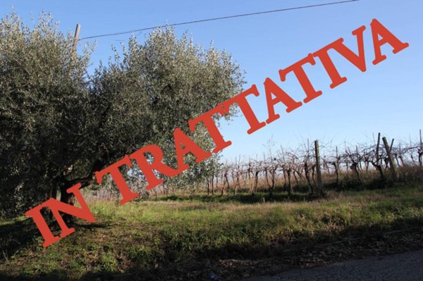 terreno agricolo in vendita a Civitanova Marche