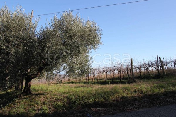 terreno agricolo in vendita a Civitanova Marche in zona Santa Maria Apparente