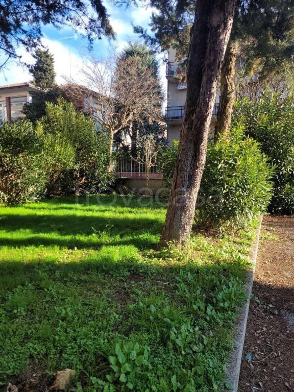 casa indipendente in vendita a Civitanova Marche