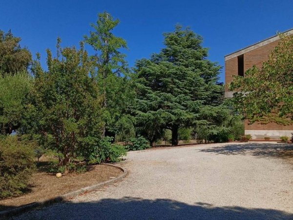 appartamento in vendita a Civitanova Marche