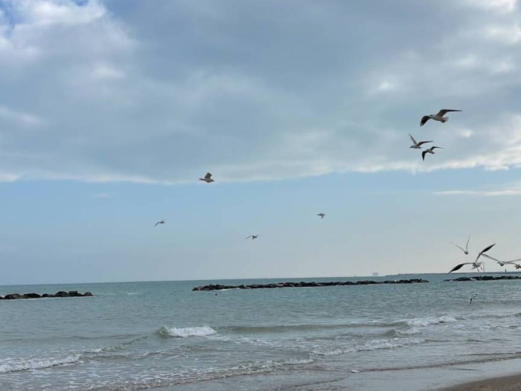 appartamento in vendita a Civitanova Marche in zona Fontespina