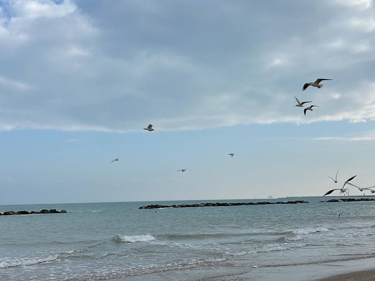 appartamento in vendita a Civitanova Marche