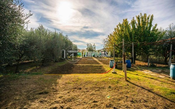 terreno agricolo in vendita a Civitanova Marche