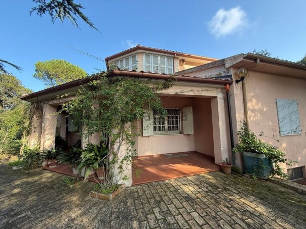 esavano in vendita a Civitanova Marche