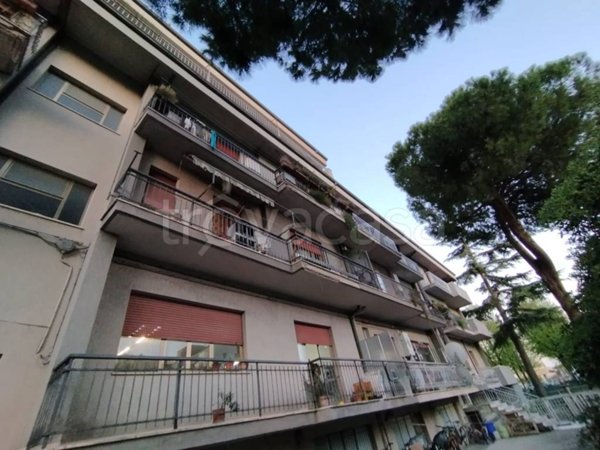 appartamento in vendita a Civitanova Marche