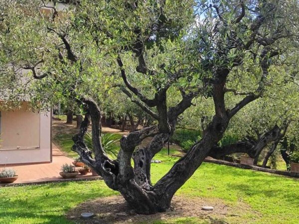 casa indipendente in vendita a Civitanova Marche