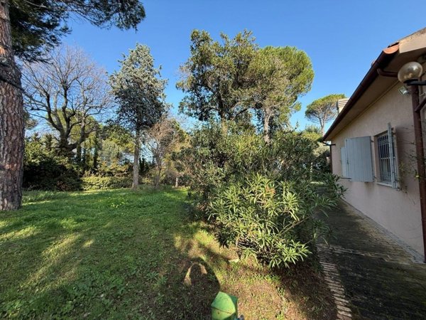 esavano in vendita a Civitanova Marche
