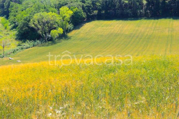 appartamento in vendita a Civitanova Marche