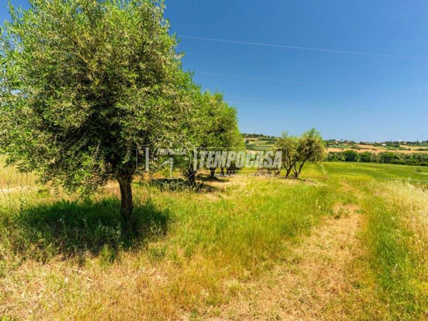 terreno agricolo in vendita a Civitanova Marche in zona Fontespina