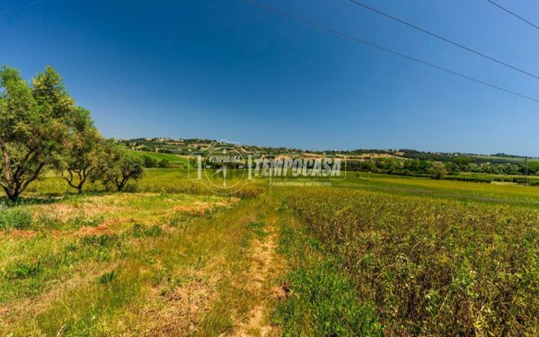 terreno agricolo in vendita a Civitanova Marche in zona Fontespina