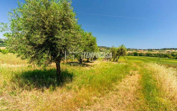 terreno agricolo in vendita a Civitanova Marche in zona Fontespina