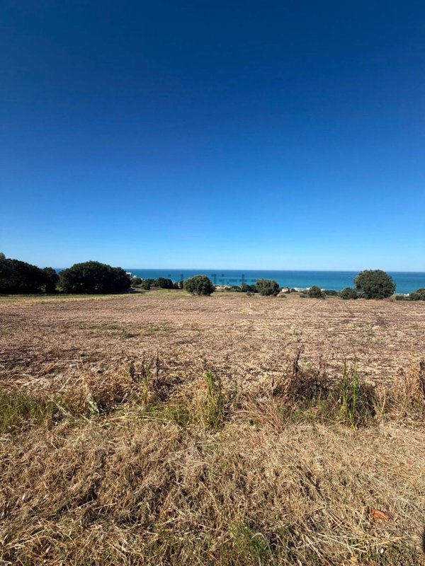 terreno agricolo in vendita a Civitanova Marche in zona Santa Maria Apparente