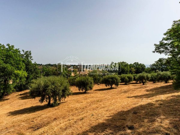 terreno agricolo in vendita a Civitanova Marche in zona Santa Maria Apparente