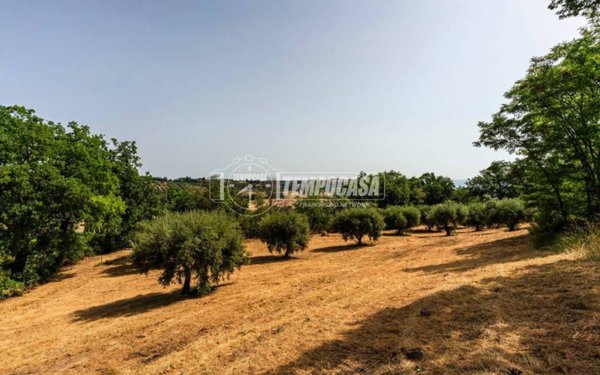 terreno agricolo in vendita a Civitanova Marche in zona Santa Maria Apparente