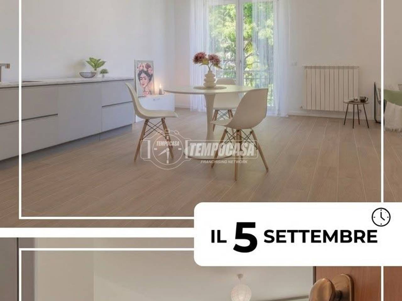immagine annuncio 0 di 15