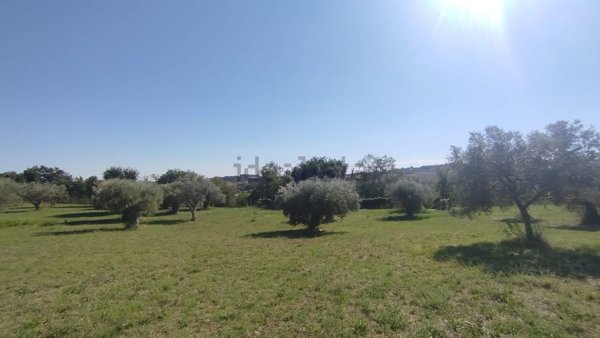 terreno agricolo in vendita a Civitanova Marche in zona Santa Maria Apparente
