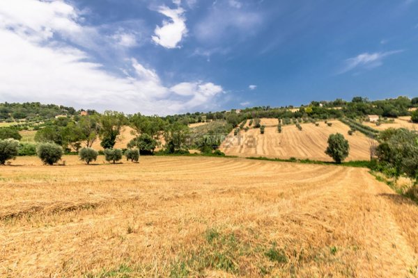 terreno in vendita a Civitanova Marche in zona Santa Maria Apparente