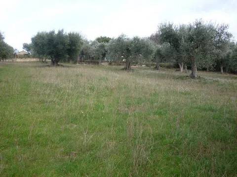 terreno agricolo in vendita a Civitanova Marche in zona Santa Maria Apparente