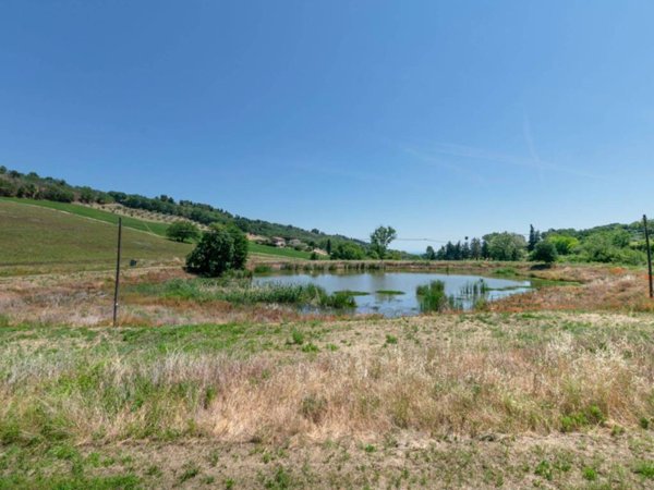 terreno agricolo in vendita a Civitanova Marche in zona Santa Maria Apparente