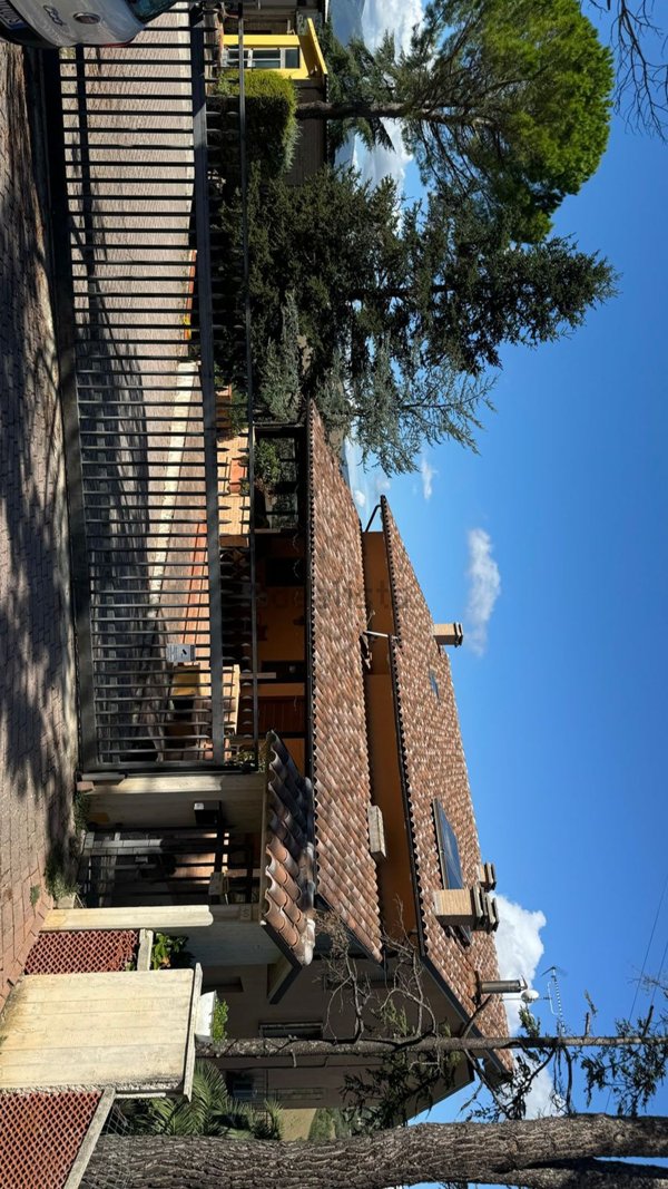 esavano in vendita a Colmurano