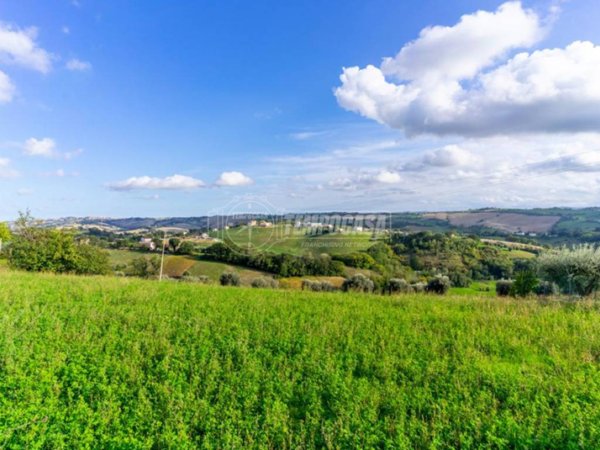 terreno agricolo in vendita a Corridonia