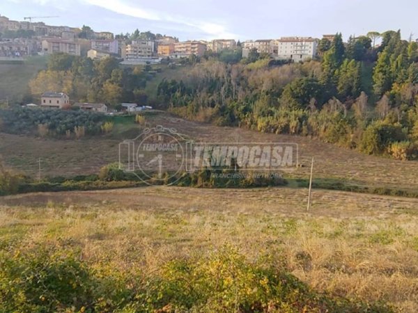 terreno agricolo in vendita a Corridonia