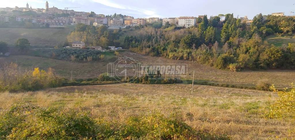 terreno agricolo in vendita a Corridonia