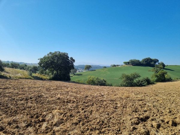 terreno agricolo in vendita a Corridonia