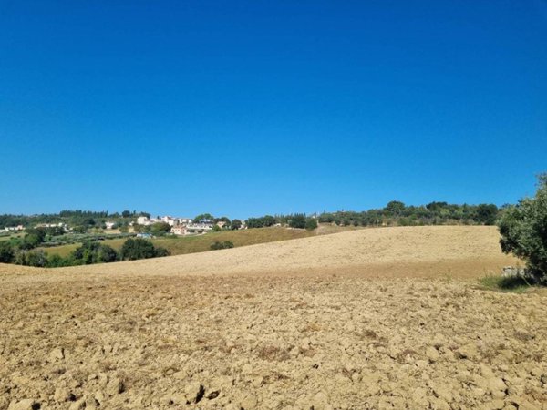 terreno agricolo in vendita a Corridonia