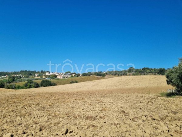 terreno agricolo in vendita a Corridonia in zona Colbuccaro