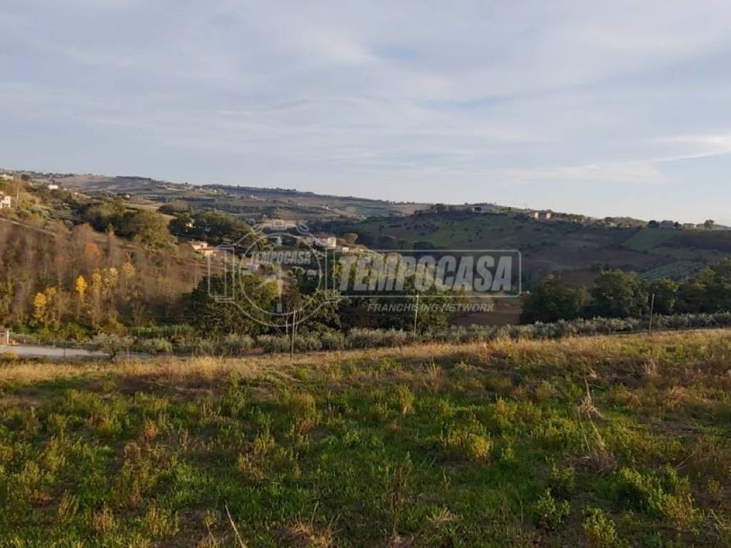 terreno agricolo in vendita a Corridonia