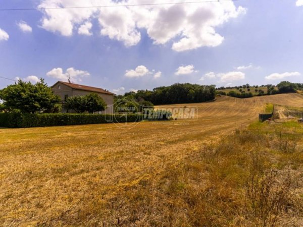 terreno agricolo in vendita a Corridonia