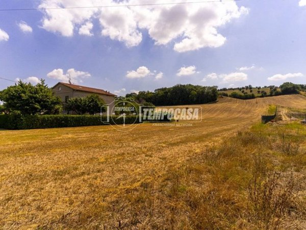 terreno agricolo in vendita a Corridonia