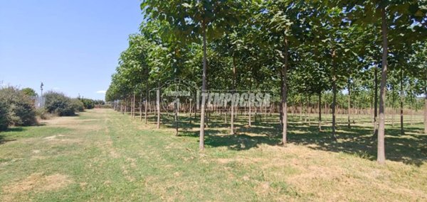 terreno agricolo in vendita a Corridonia
