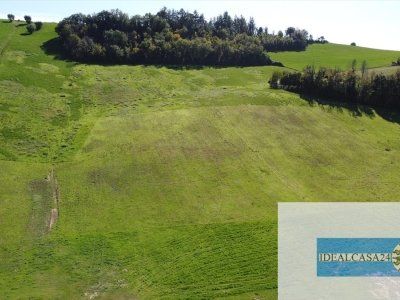 azienda agricola in vendita a Corridonia