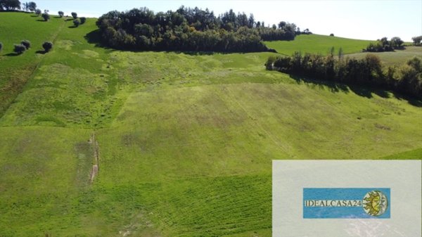 azienda agricola in vendita a Corridonia