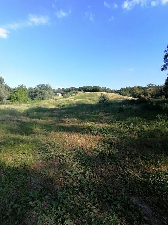 terreno agricolo in vendita a Corridonia