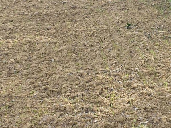 terreno agricolo in vendita a Corridonia